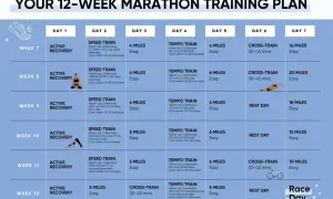 Plan 12-tygodniowego treningu do maratonu: jak trenować bieganie, zawiera dni regeneracji, treningi szybkościowe, tempowe, cross-training i długie biegi.