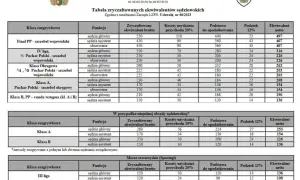 Zarobki sędziów siatkówki: Ile za mecz? Stawki i etat