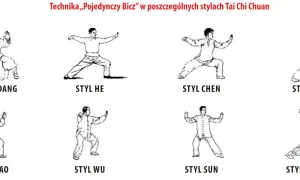 Rysunki przedstawiają różne style Tai Chi Chuan: Wudang, He, Chen, Yang, Hao, Wu, Sun, Pekiński. To jest właśnie taichi, co to za sztuka walki.