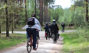 Grupa rowerzystów w lesie. Zastanawiasz się, ile kalorii spalisz na 25 km na rowerze?