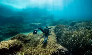 Nurkujący w czarnych płetwach, które świetnie nadają się do snorkelingu, eksploruje podwodny świat pełen skał i trawy morskiej.
