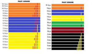 Pasy w karate: juniorzy od 10.1 kyu do 5.3 kyu, seniorzy od 10. kyu do 6. dan. Kolory pasów odzwierciedlają stopnie zaawansowania.