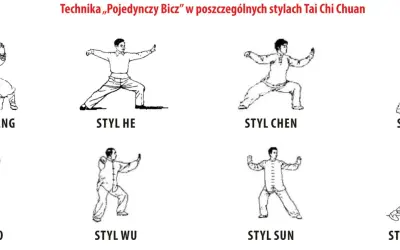 Rysunki przedstawiają różne style Tai Chi Chuan: Wudang, He, Chen, Yang, Hao, Wu, Sun, Pekiński. To jest właśnie taichi, co to za sztuka walki.
