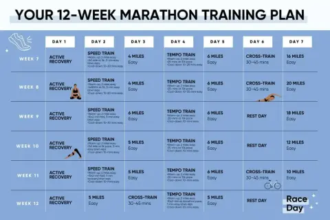 Plan 12-tygodniowego treningu do maratonu: jak trenować bieganie, zawiera dni regeneracji, treningi szybkościowe, tempowe, cross-training i długie biegi.
