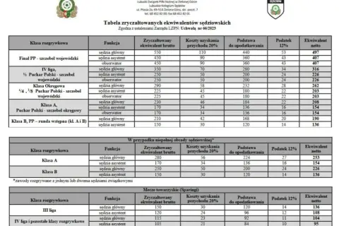 Zarobki sędziów siatkówki: Ile za mecz? Stawki i etat