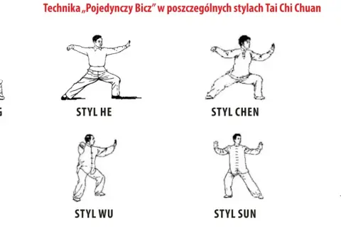 Rysunki przedstawiają różne style Tai Chi Chuan: Wudang, He, Chen, Yang, Hao, Wu, Sun, Pekiński. To jest właśnie taichi, co to za sztuka walki.