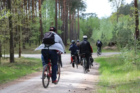 Grupa rowerzystów w lesie. Zastanawiasz się, ile kalorii spalisz na 25 km na rowerze?