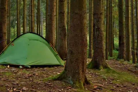 Zielony namiot i rowery w lesie, gotowe na przygodę w stylu bushcraft.