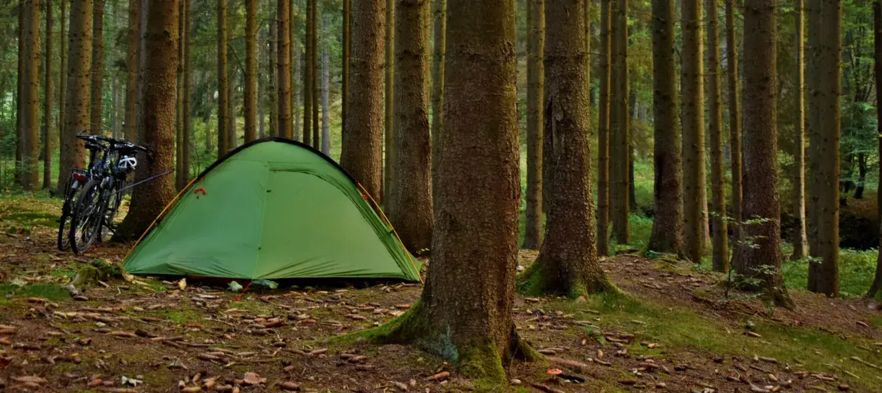 Zielony namiot i rowery w lesie, gotowe na przygodę w stylu bushcraft.