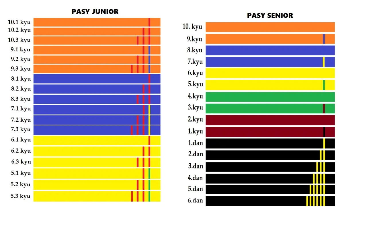 Pasy w karate: juniorzy od 10.1 kyu do 5.3 kyu, seniorzy od 10. kyu do 6. dan. Kolory pasów odzwierciedlają stopnie zaawansowania.