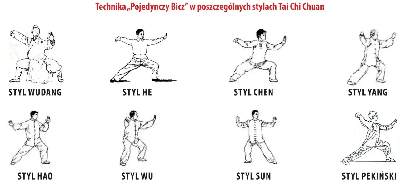Rysunki przedstawiają różne style Tai Chi Chuan: Wudang, He, Chen, Yang, Hao, Wu, Sun, Pekiński. To jest właśnie taichi, co to za sztuka walki.