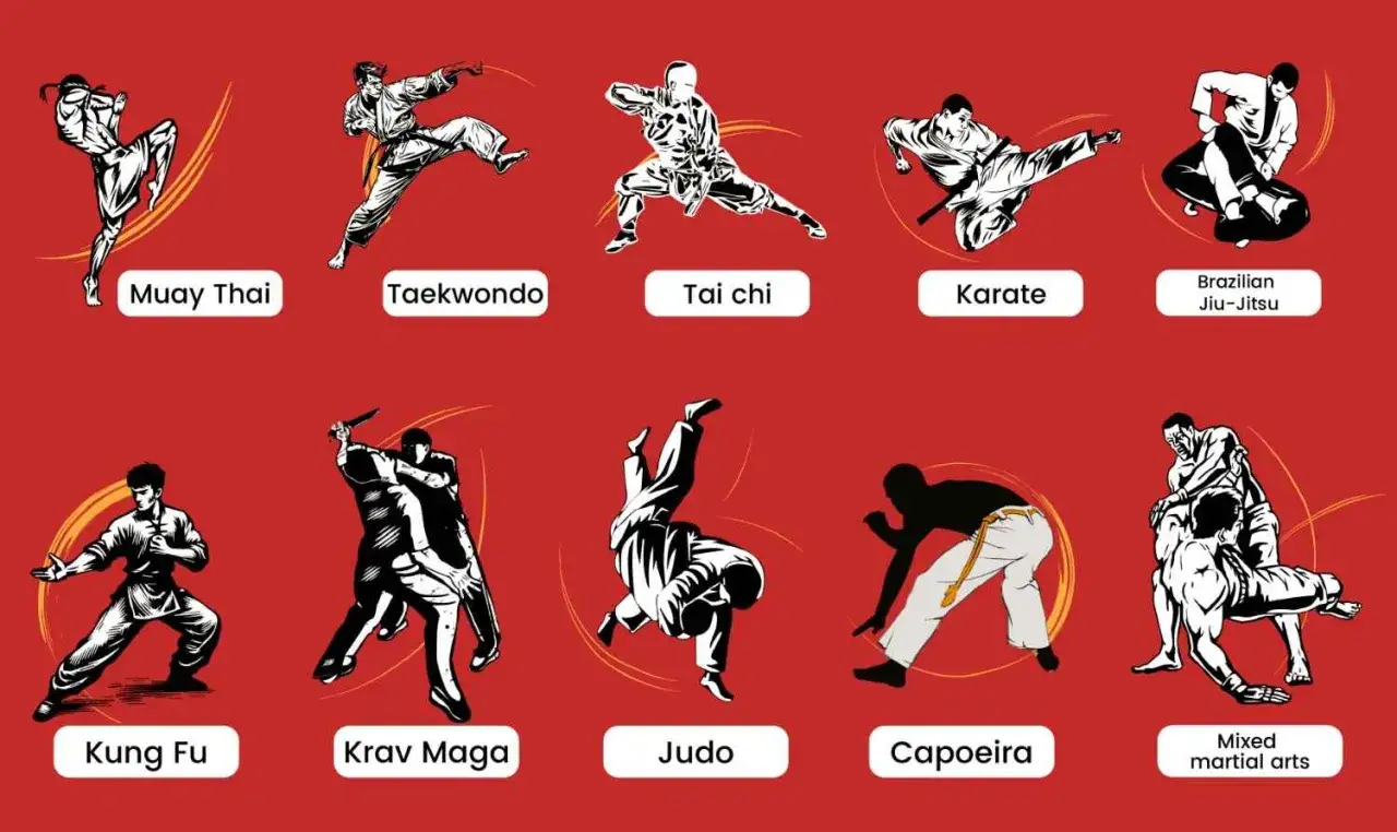 Ilustracje przedstawiają dynamiczne postacie w akcji, prezentujące różnorodne sztuki walki: Muay Thai, Taekwondo, Tai Chi, Karate, Brazylijskie Jiu-Jitsu, Kung Fu, Krav Maga, Judo, Capoeira i MMA.