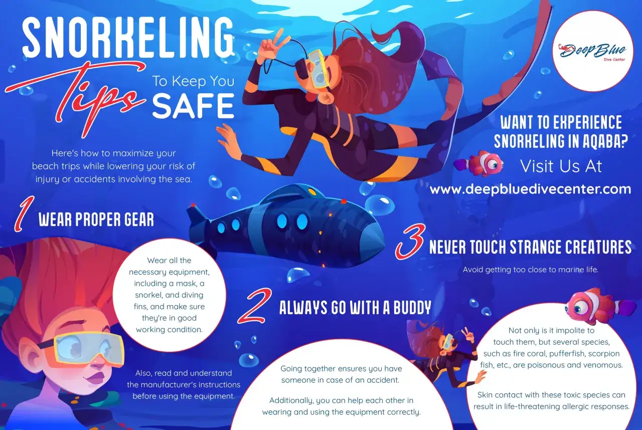 Bezpieczne snurkowanie: wskazówki dotyczące sprzętu, partnera i unikania niebezpiecznych stworzeń morskich.