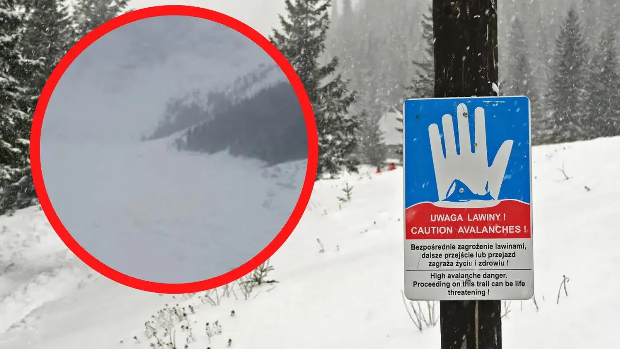 Ostrzeżenie przed lawinami w górach. Znak informuje o zagrożeniu, co to lawina i jak niebezpieczna może być.