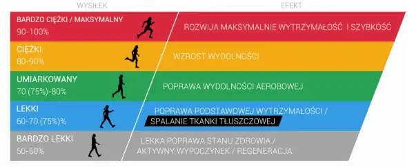 Grafika pokazuje poziomy wysiłku i ich efekty. Umiarkowany wysiłek poprawia wydolność aerobową.